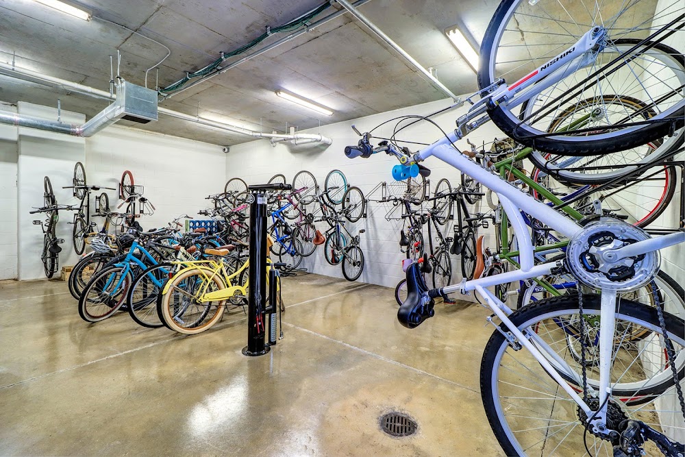 Gallery Image 7