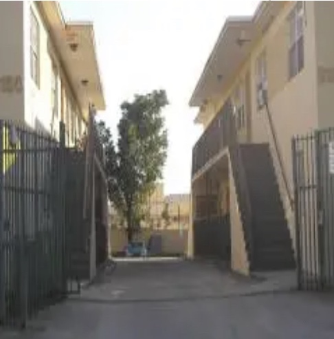 Imagen de la galería 3