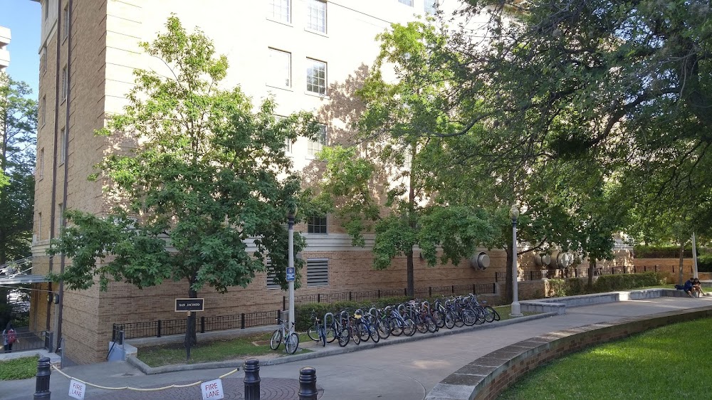 Imagen de la galería 4
