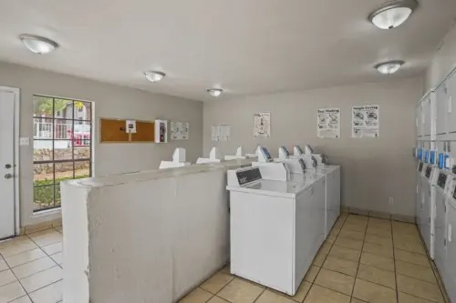 Imagen de la galerĂa 10
