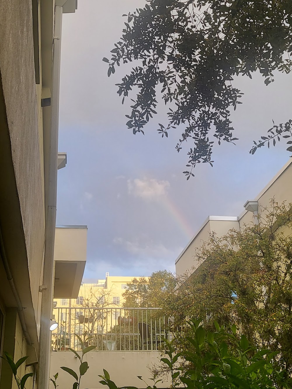 Imagen de la galería 3