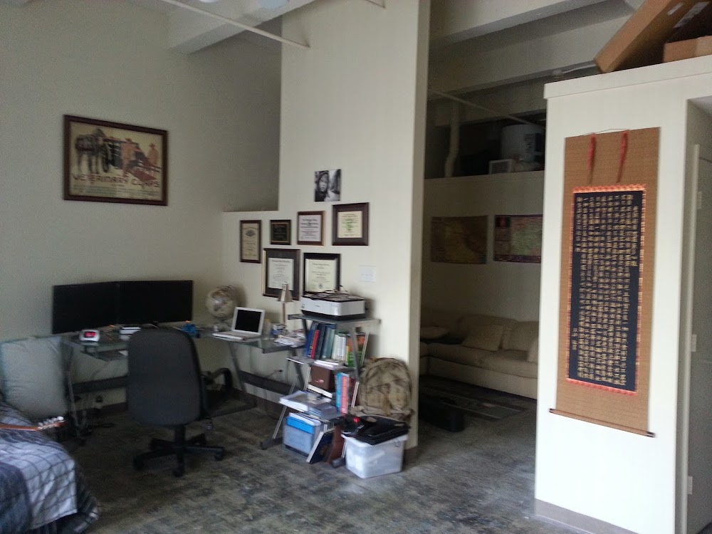 Imagen de la galería 2