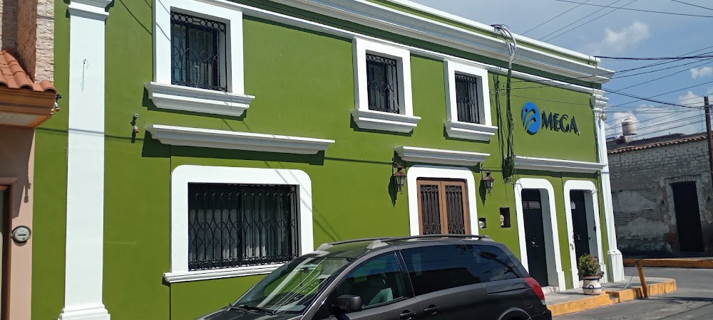 Imagen de la galería 3