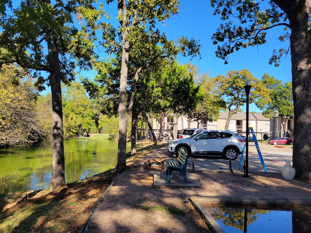 Imagen de la galería 5