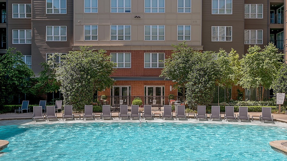 Imagen de la galería 7