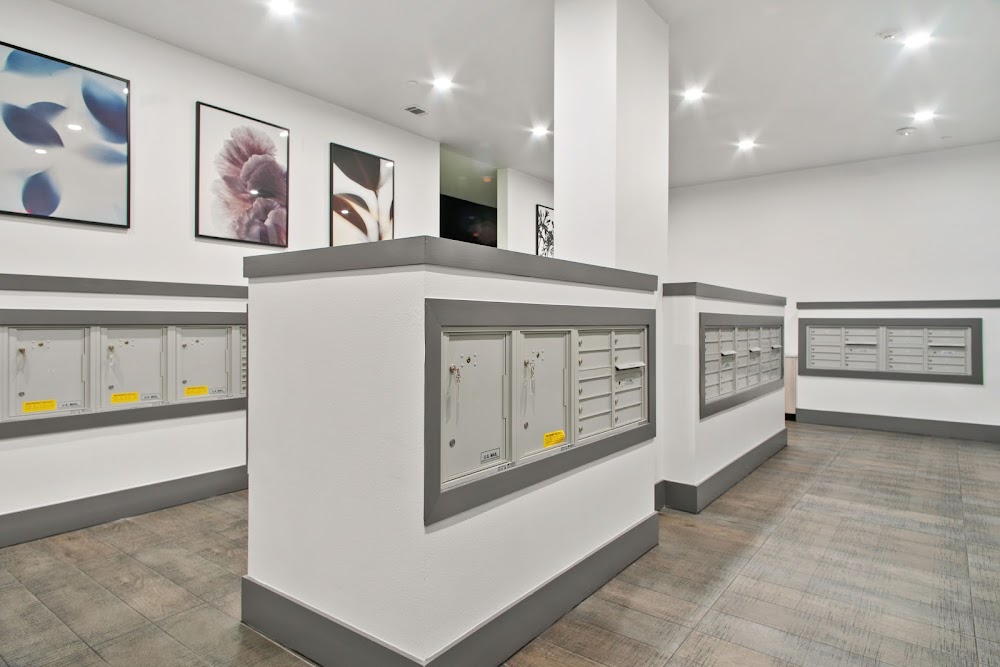Imagen de la galería 8