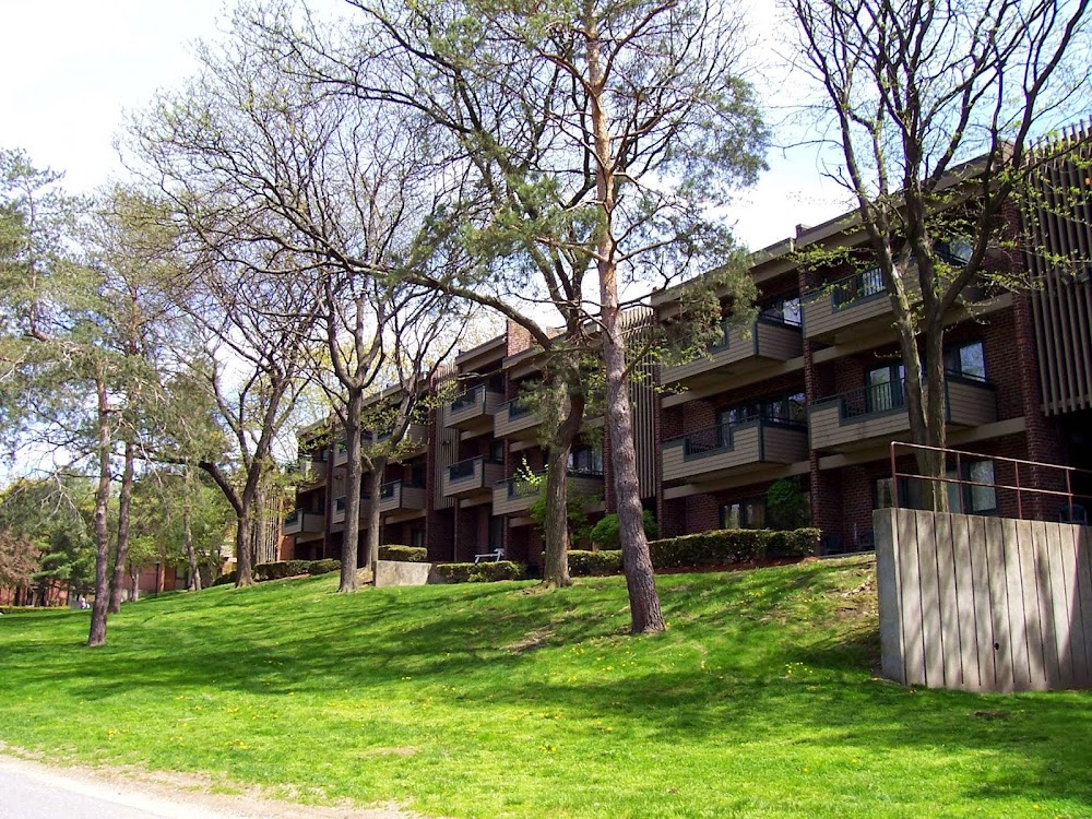 Imagen de la galería 7