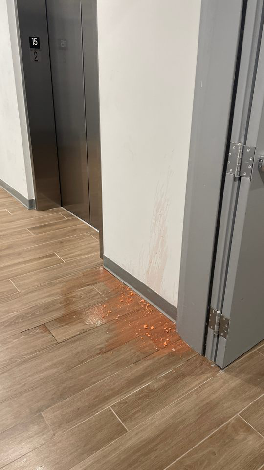 Imagen de la galería 12