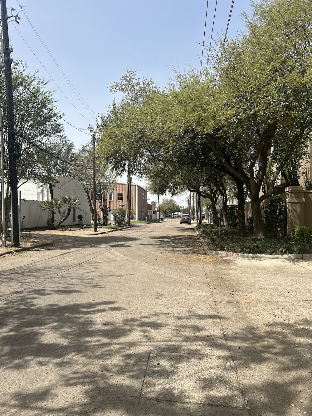 Imagen de la galería 6