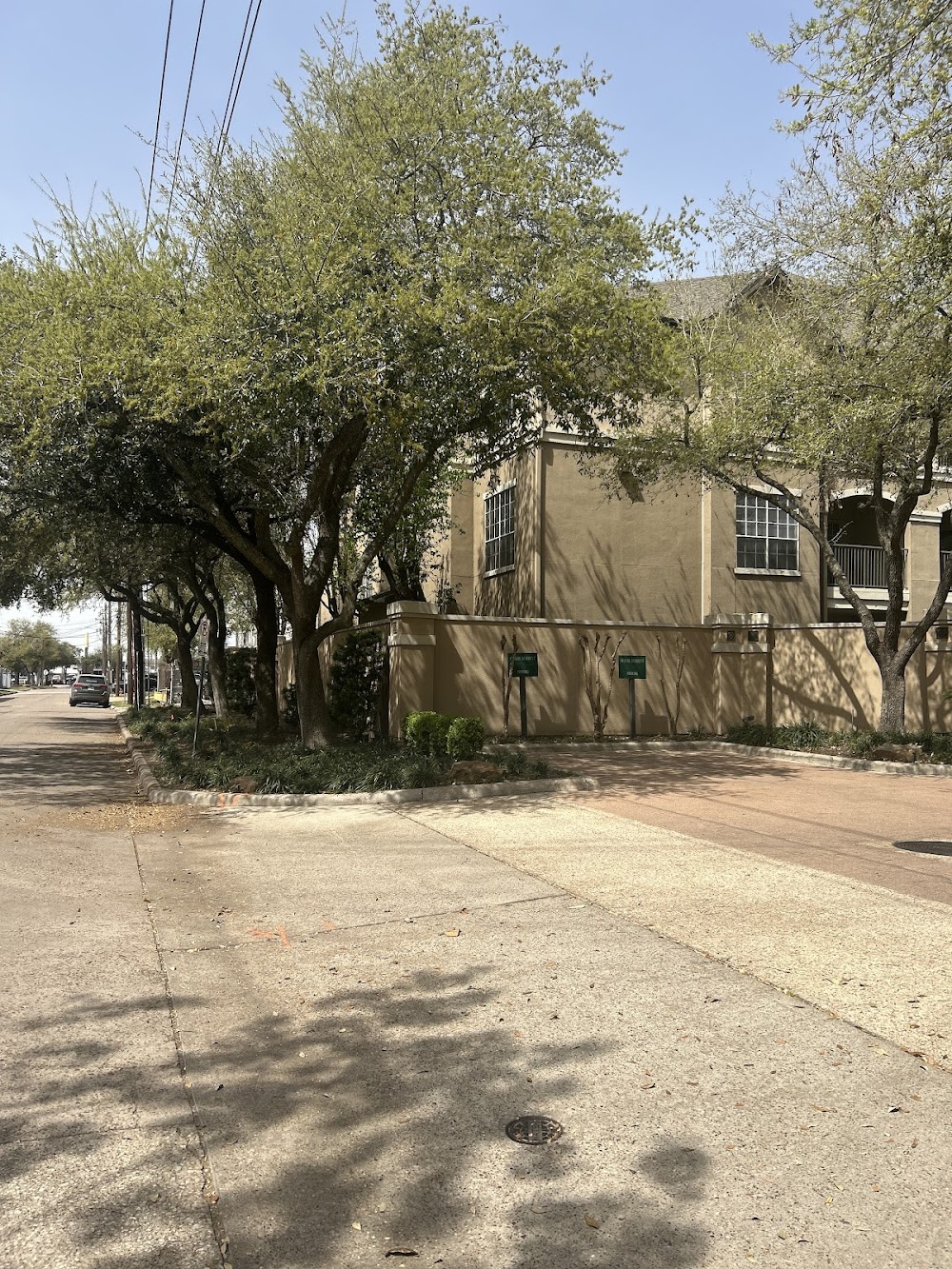 Imagen de la galería 7