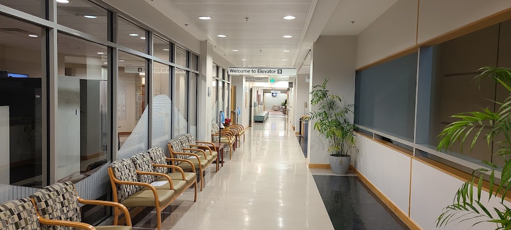 Imagen de la galería 1