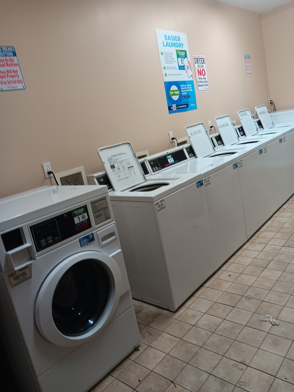 Imagen de la galería 1