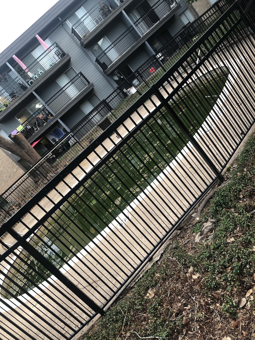 Imagen de la galería 9