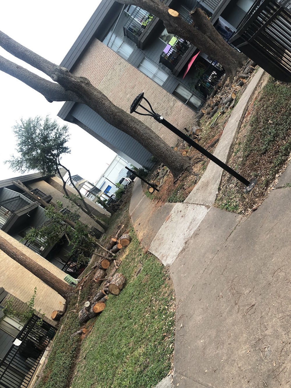 Imagen de la galería 6