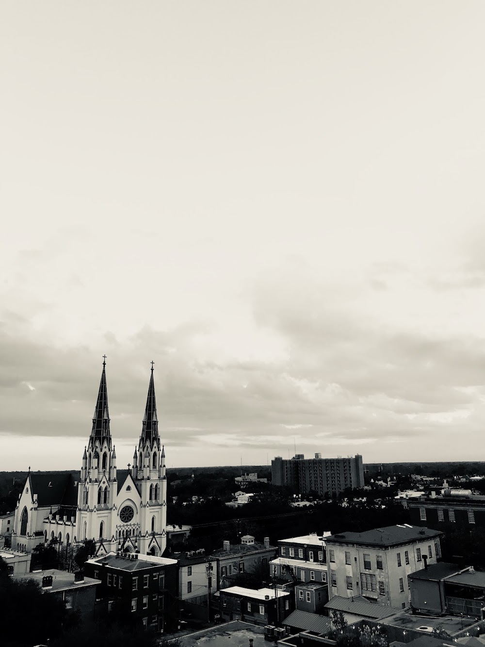 Imagen de la galería 9