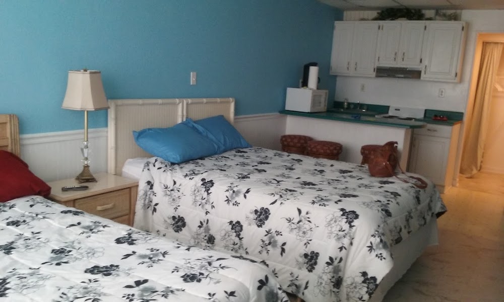 Imagen de la galería 1