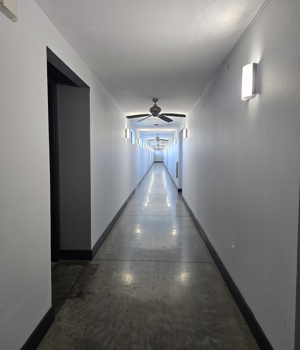 Imagen de la galería 6
