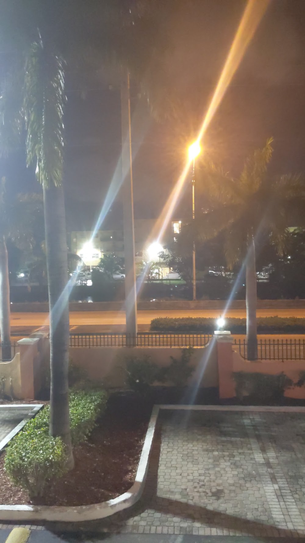 Imagen de la galería 1
