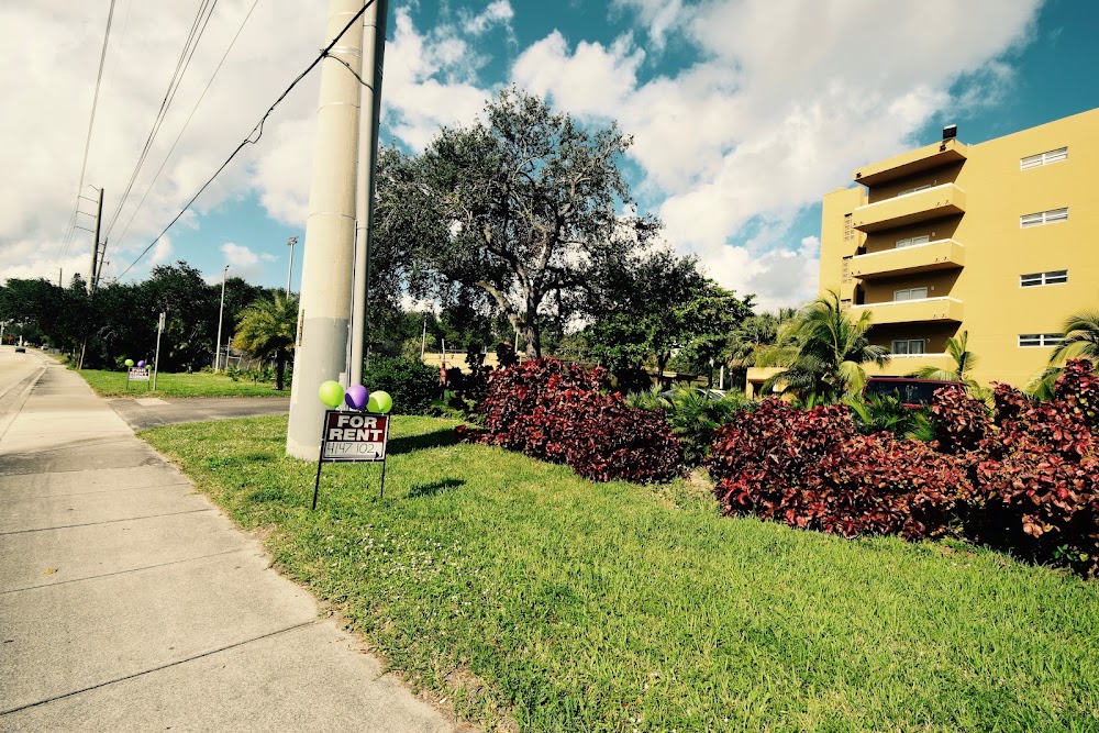 Imagen de la galería 1