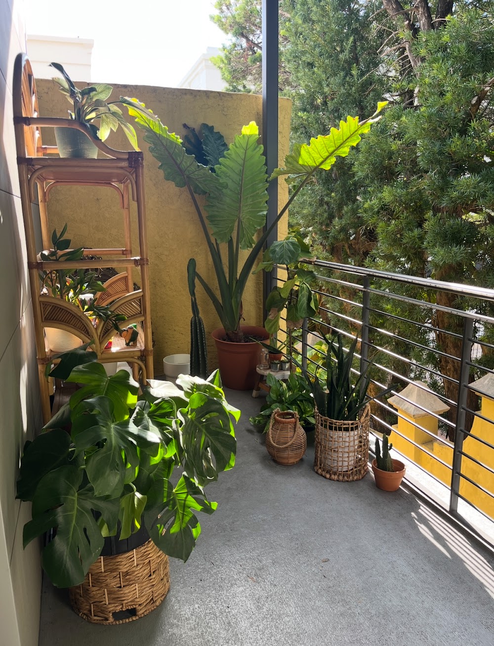Imagen de la galería 6