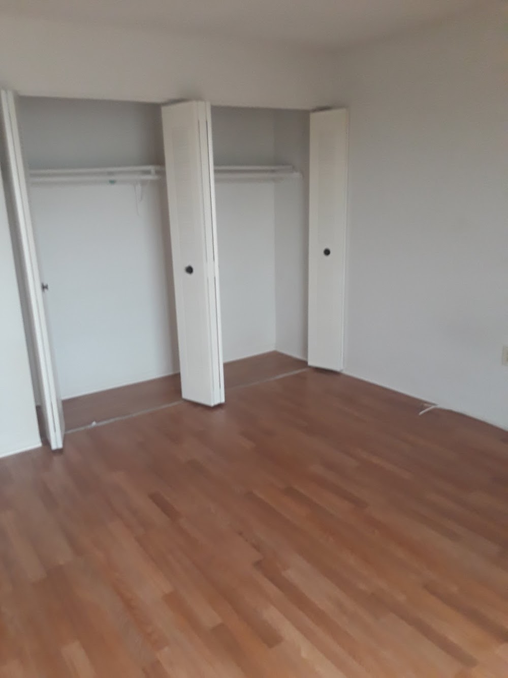 Imagen de la galería 1