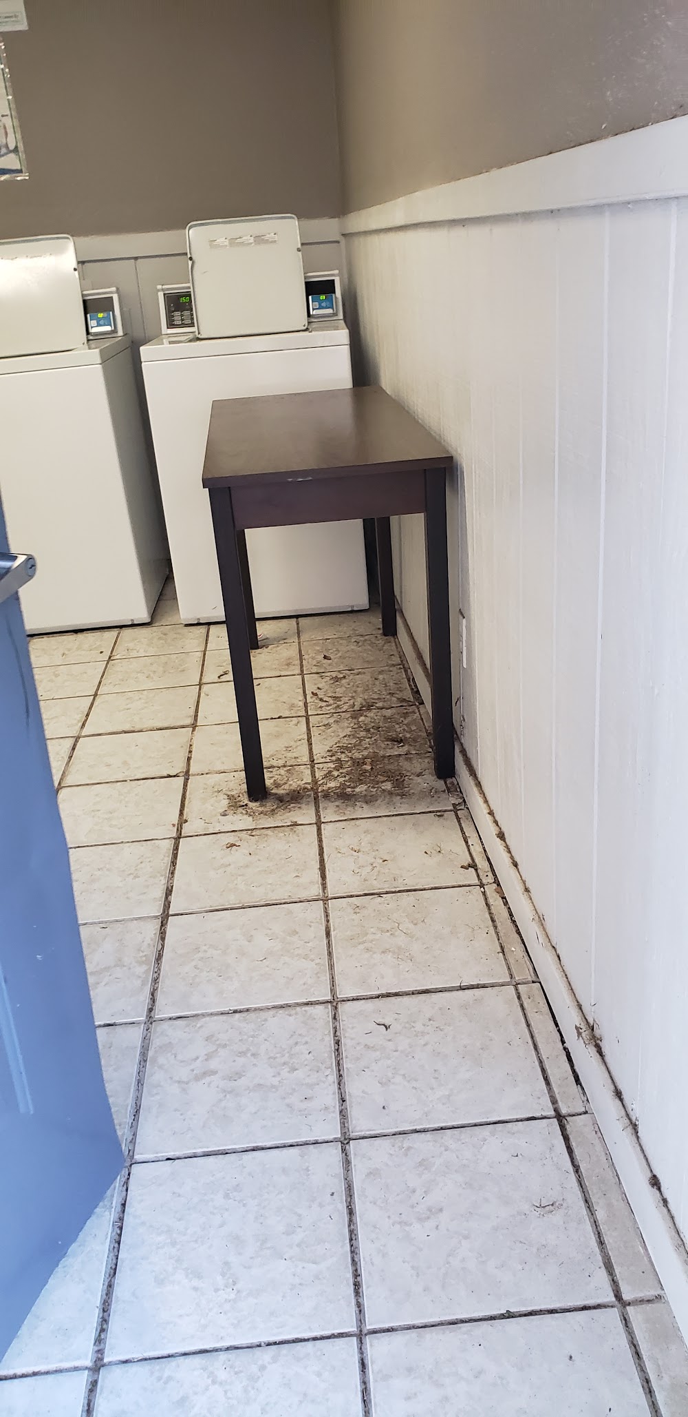 Imagen de la galería 6