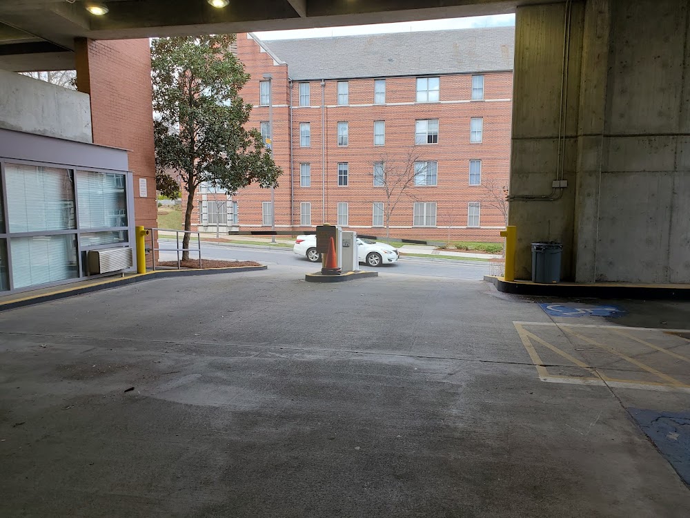 Gallery Image 7