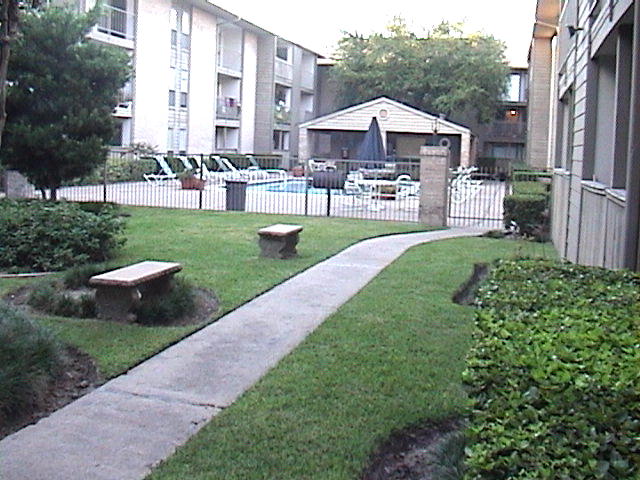 Imagen de la galería 4
