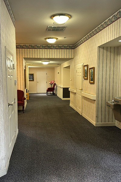 Imagen de la galería 3