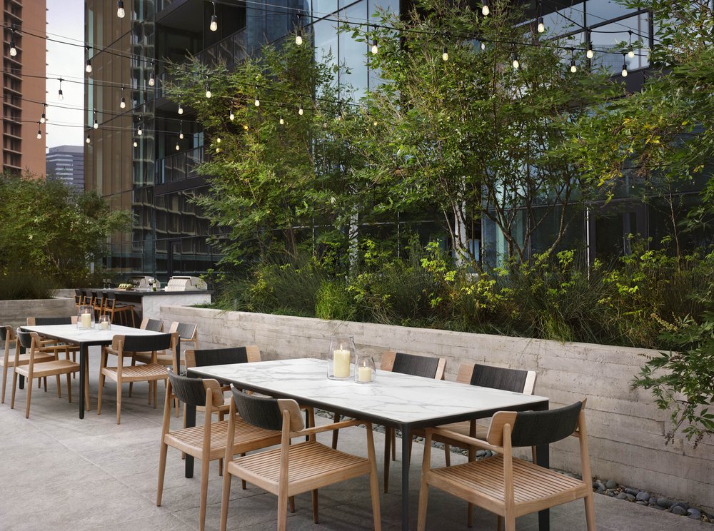 Imagen de la galería 5
