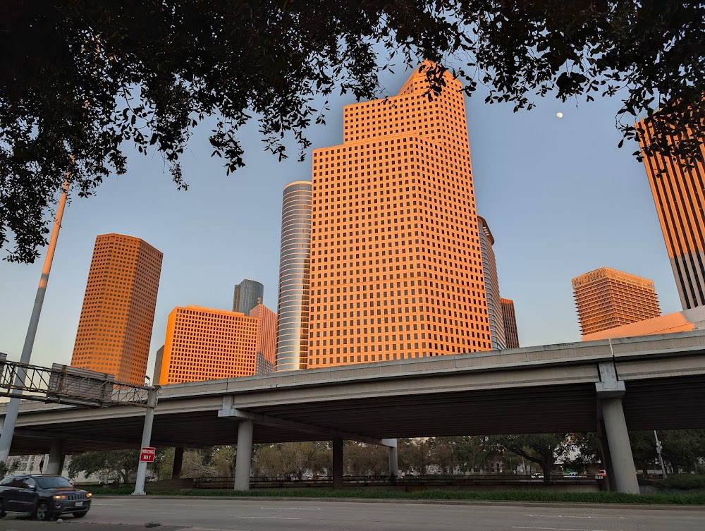 Imagen de la galería 8
