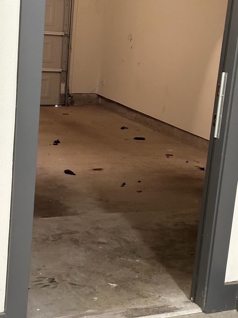 Imagen de la galerĂa 16