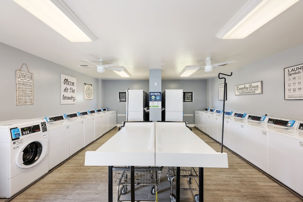 Gallery Image 9