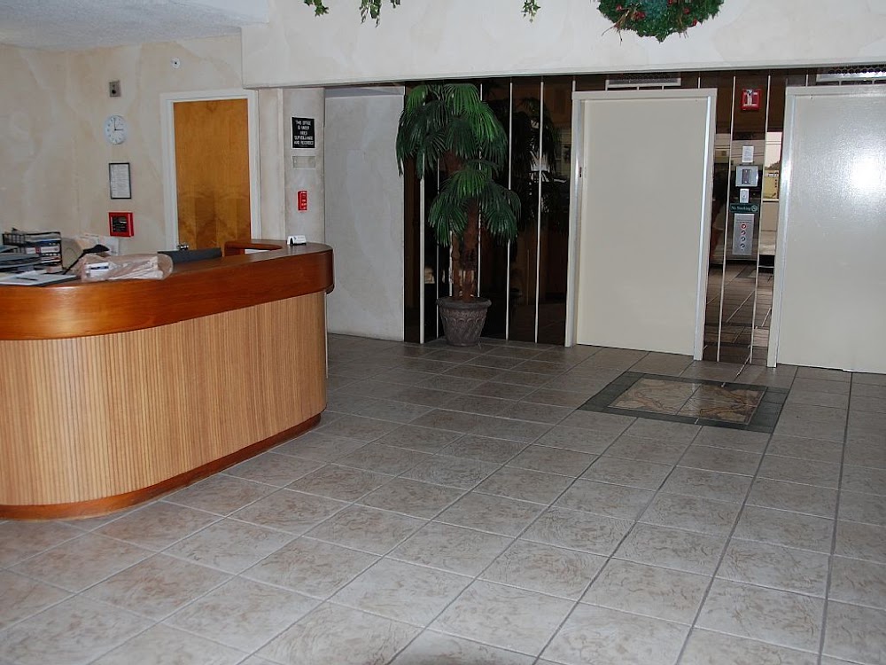 Imagen de la galería 3