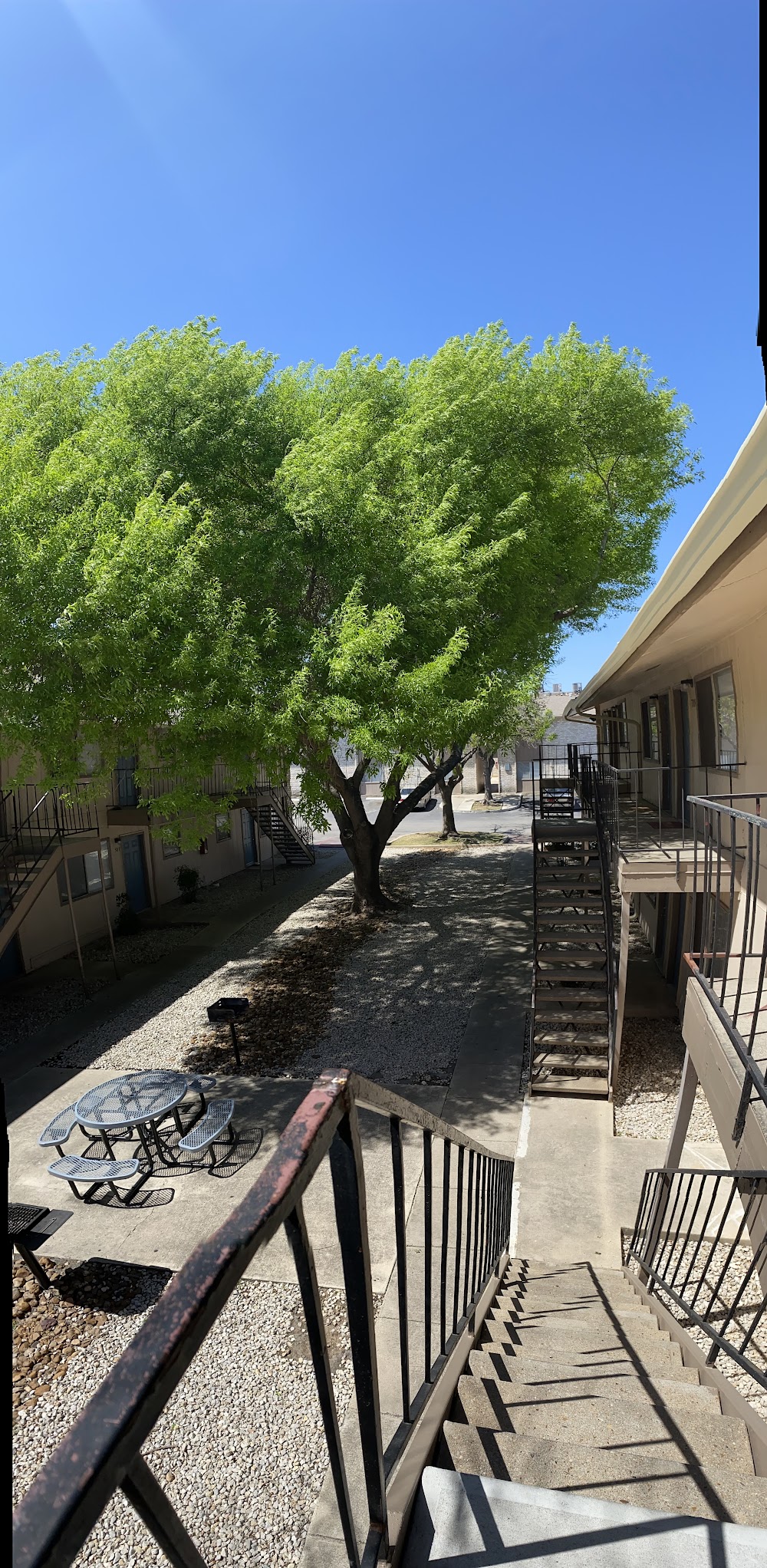 Imagen de la galería 2