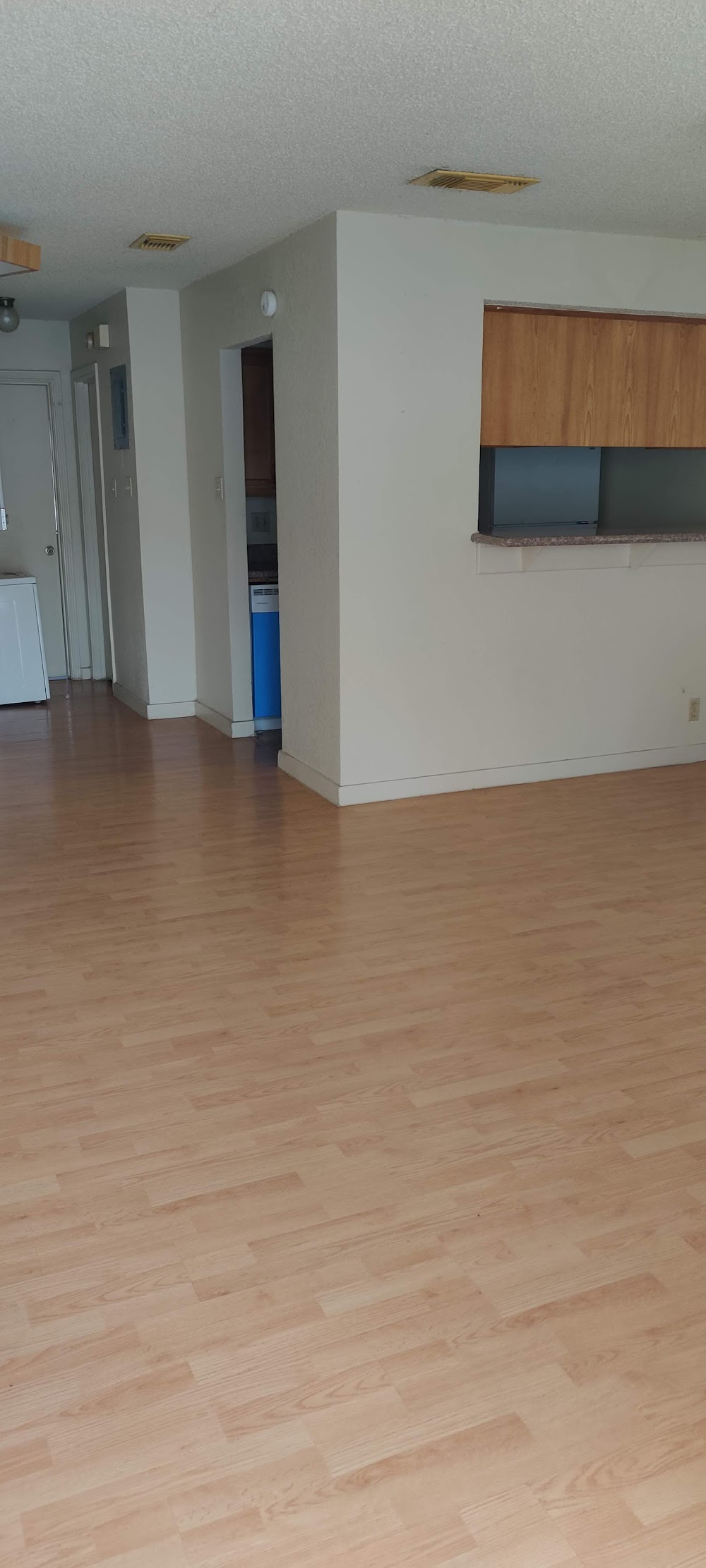 Imagen de la galería 1