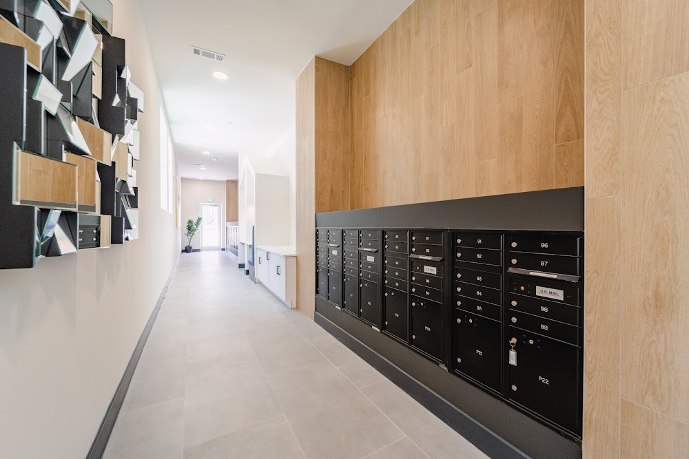 Imagen de la galería 4