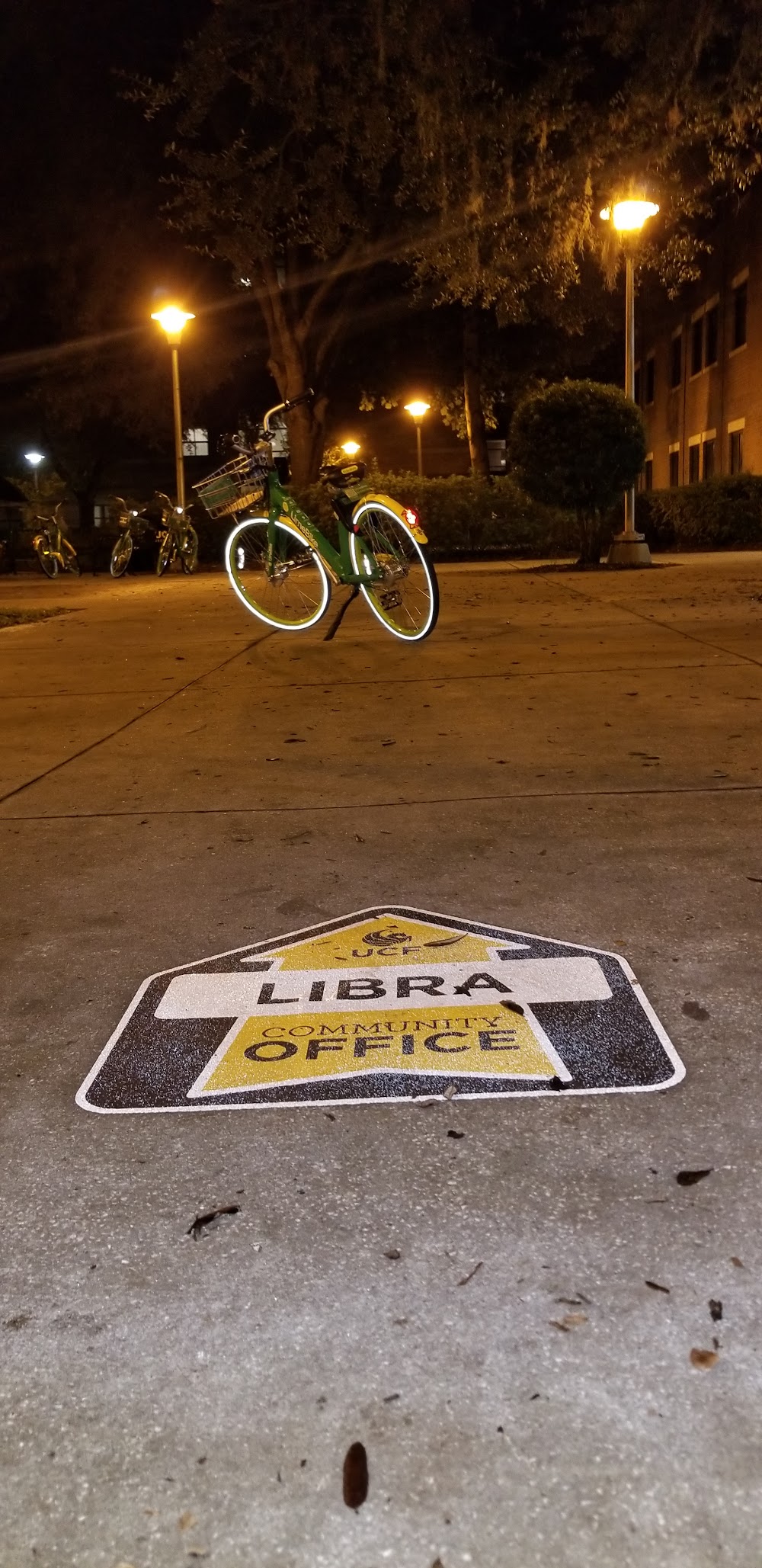 Imagen de la galería 8
