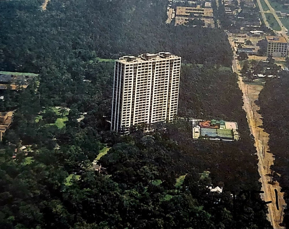 Imagen de la galería 8