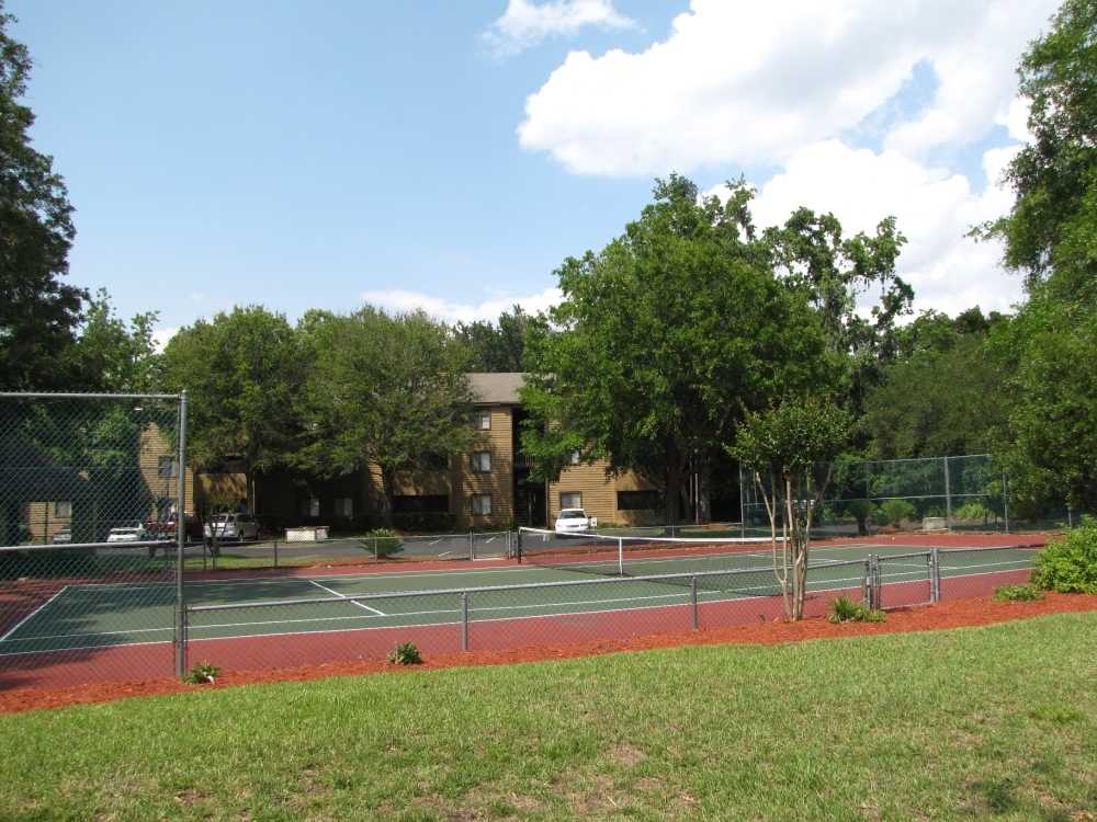 Imagen de la galerĂa 7