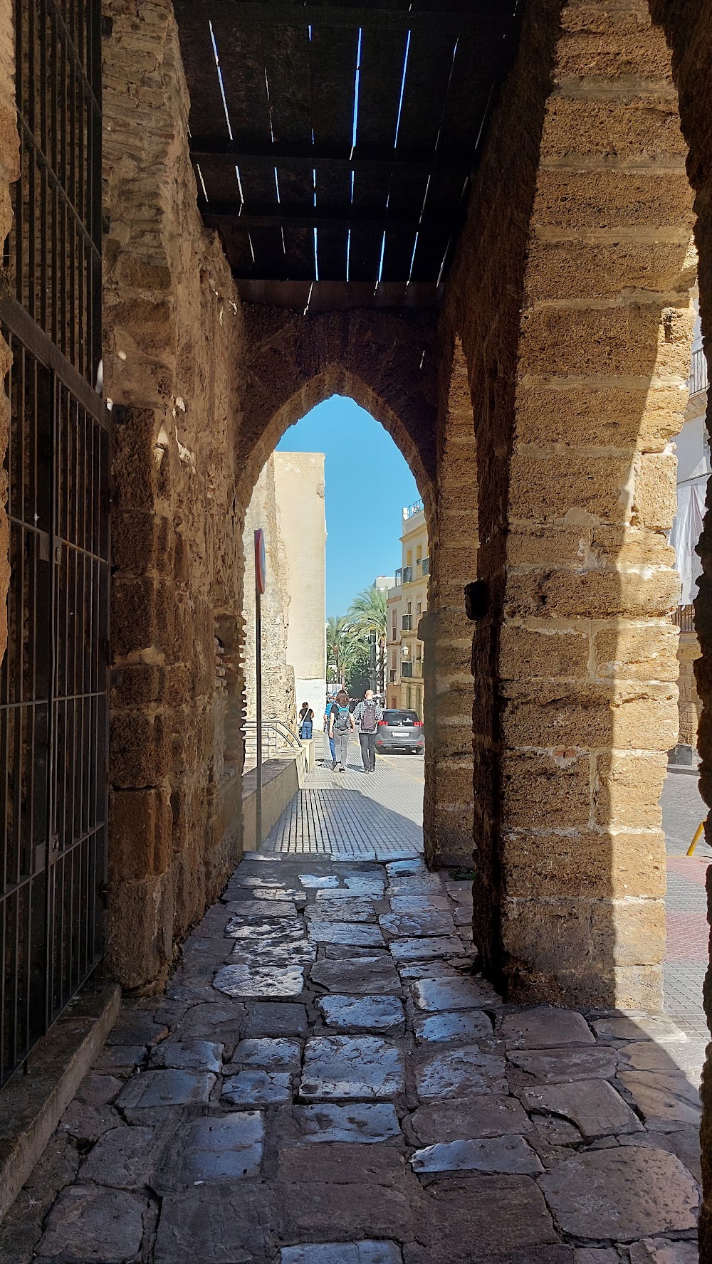 Imagen de la galería 3