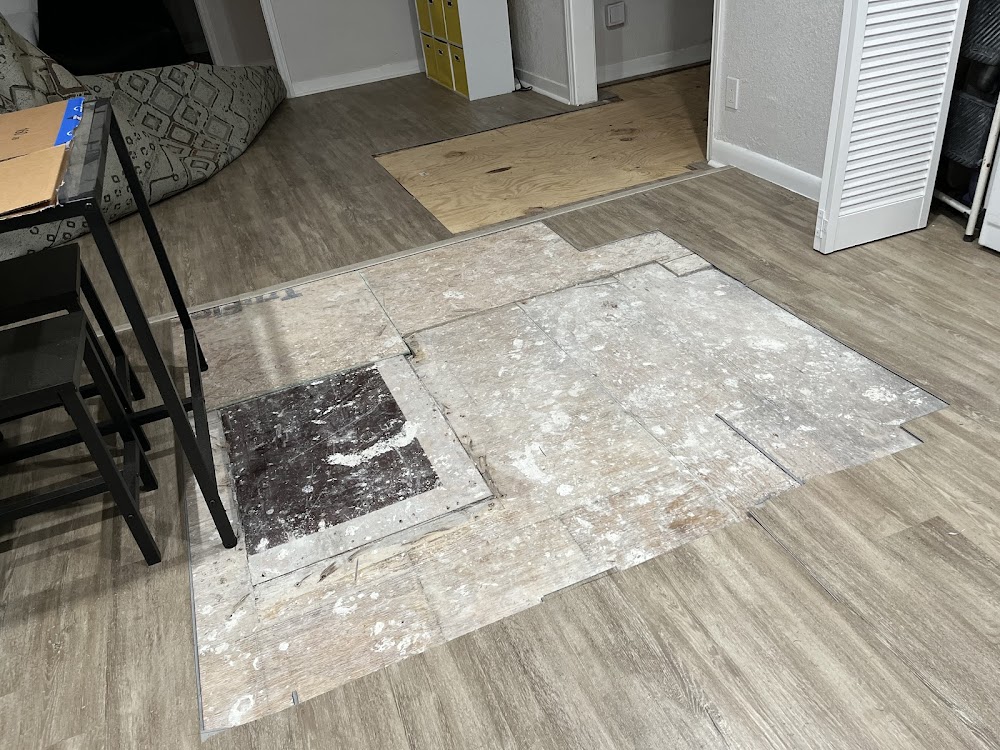 Imagen de la galería 6