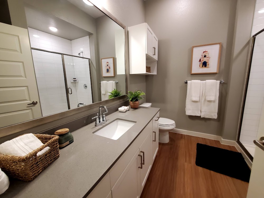 Imagen de la galería 9