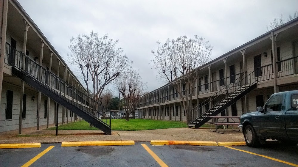 Imagen de la galería 2