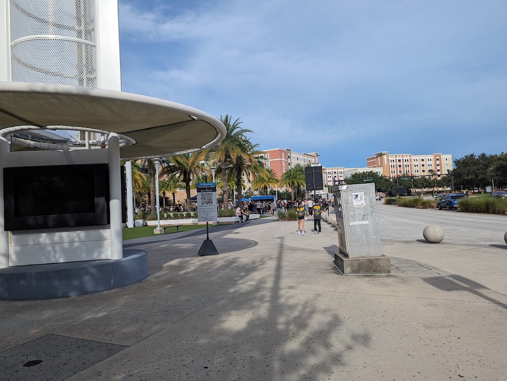 Imagen de la galería 4