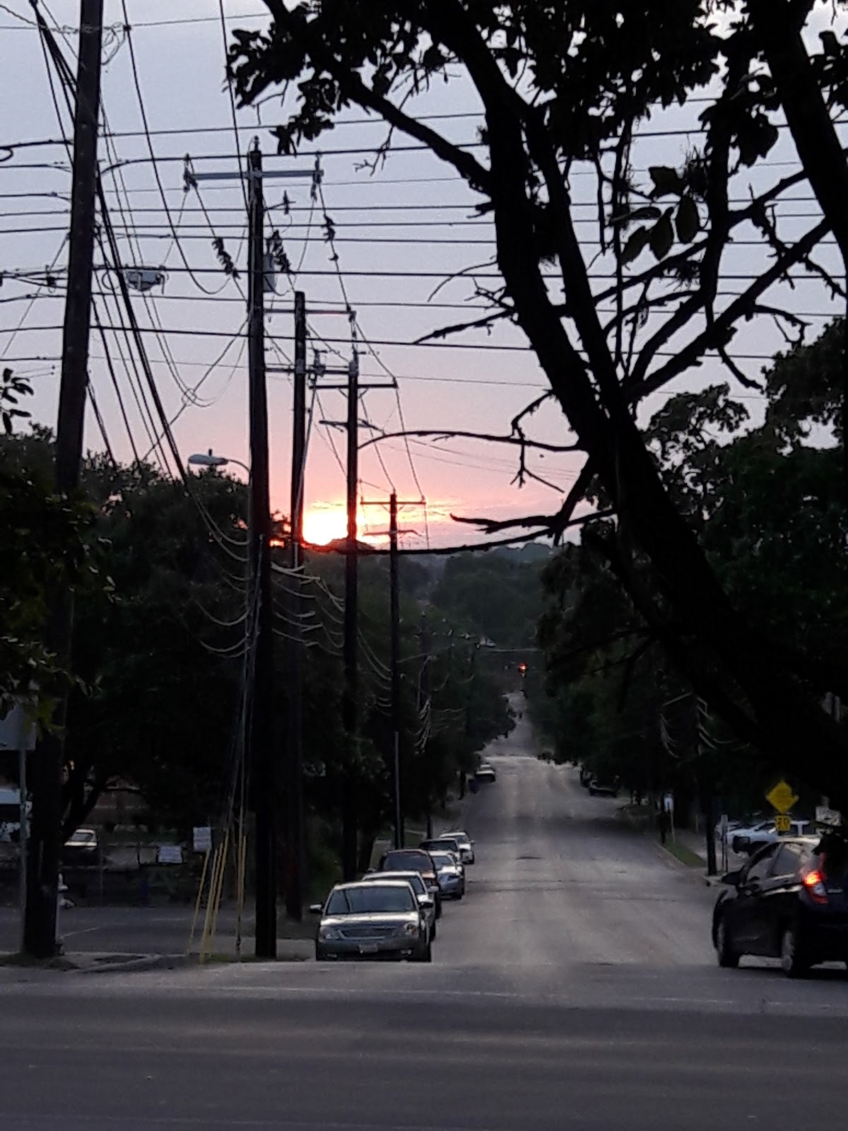Imagen de la galería 4