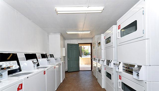 Imagen de la galería 10