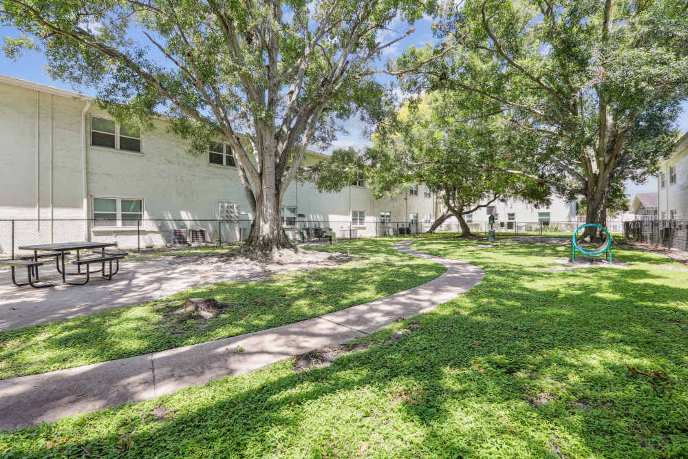 Imagen de la galería 9