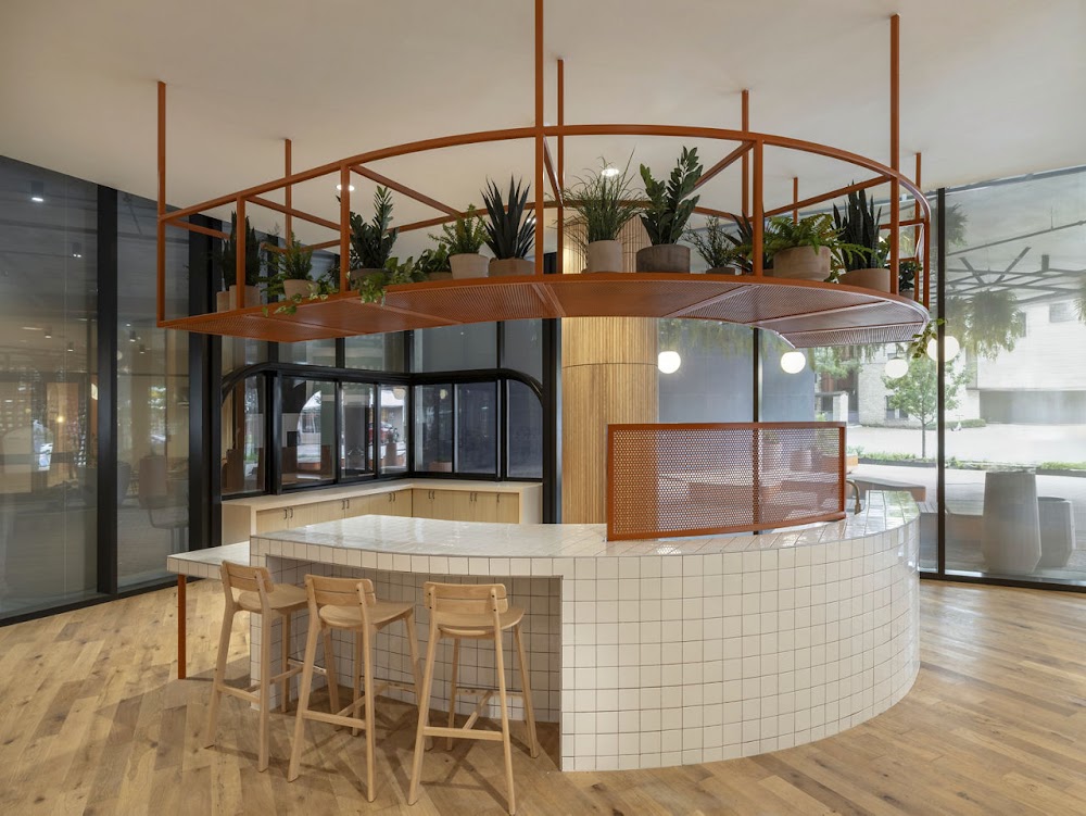 Imagen de la galería 4