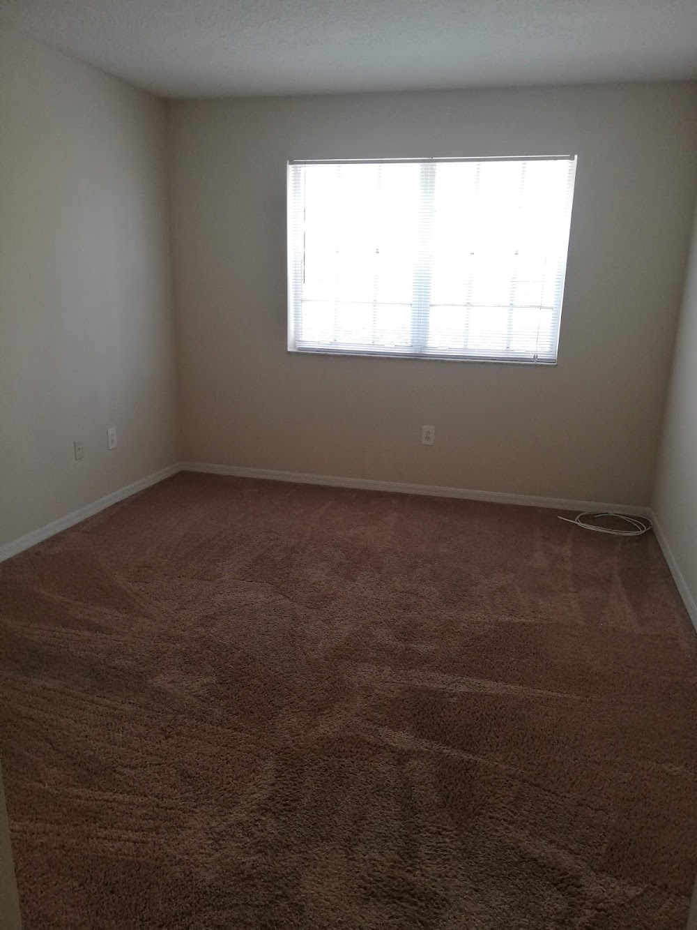 Imagen de la galerĂa 8